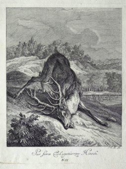 Elias Ridinger (1698-1767), Kupferstich, Par force Tod-gestürzter Hirsch, A0108