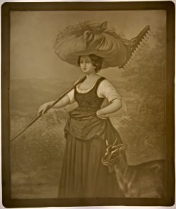 HPM 202 Von der Ernte