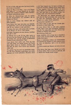Das Magazin 65-06-21 Pierre Olivier, Der kleine Esel von Aurés