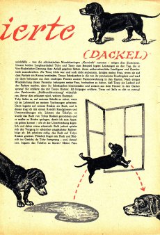 Das Magazin 65-11-45 Anni Mal, Der rasierte Dackel