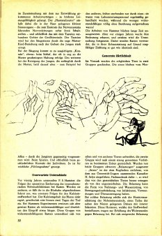 Das Magazin 66-06-50 Anni Mal,Sollen kleine Tiere gezärtelt werden