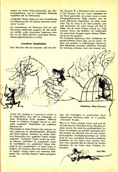 Das Magazin 66-06-51 Anni Mal,Sollen kleine Tiere gezärtelt werden