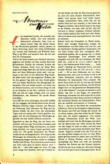 Das Magazin 55-01-06 Walter Koch, Abenteuer im Walde