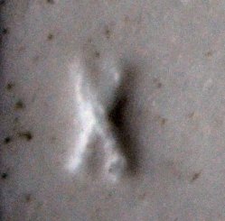 1647 HPM 526 Marke links